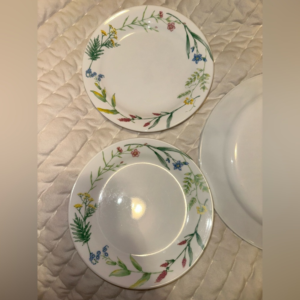 Corelle My Garden Plates - Picture 5 of 7